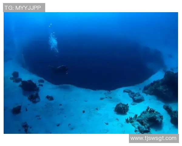 谭海：探索海洋深处的神秘与美丽，揭示人类与自然的和谐共生之道