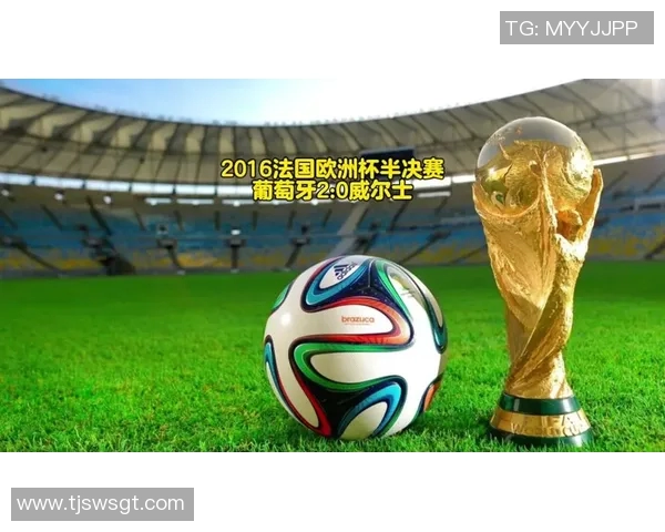 威尔士对阵法国精彩直播全程回顾与赛后分析